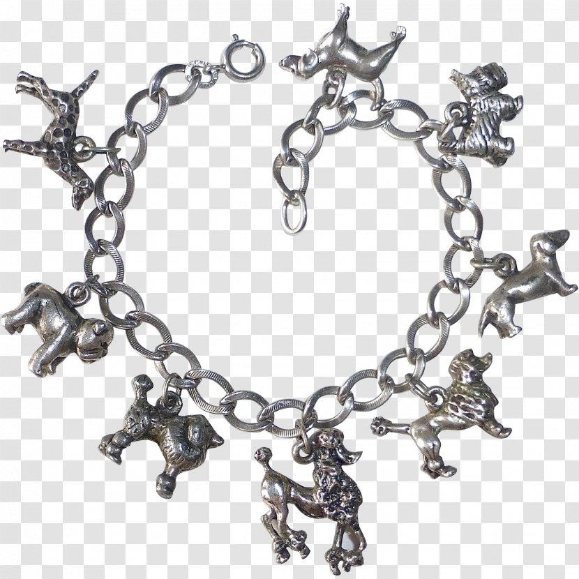 Jewellery Necklace Bracelet Silver Chain - Metal Transparent PNG
