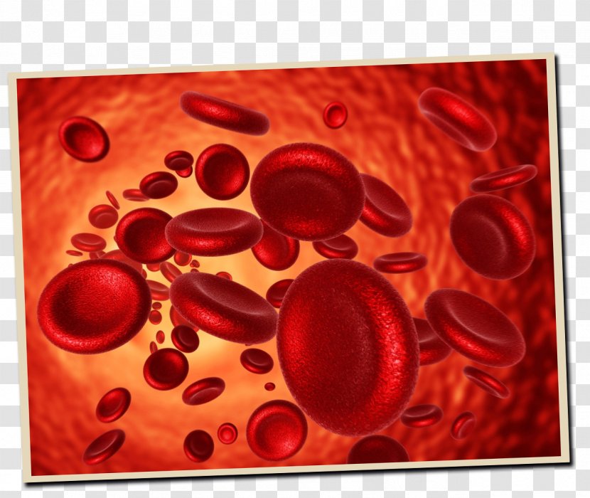 Red Blood Cell Iron-deficiency Anemia Iron Deficiency Transparent PNG