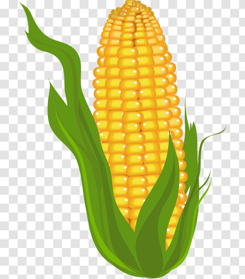 Candy Corn On The Cob Maize Clip Art - Commodity Transparent PNG