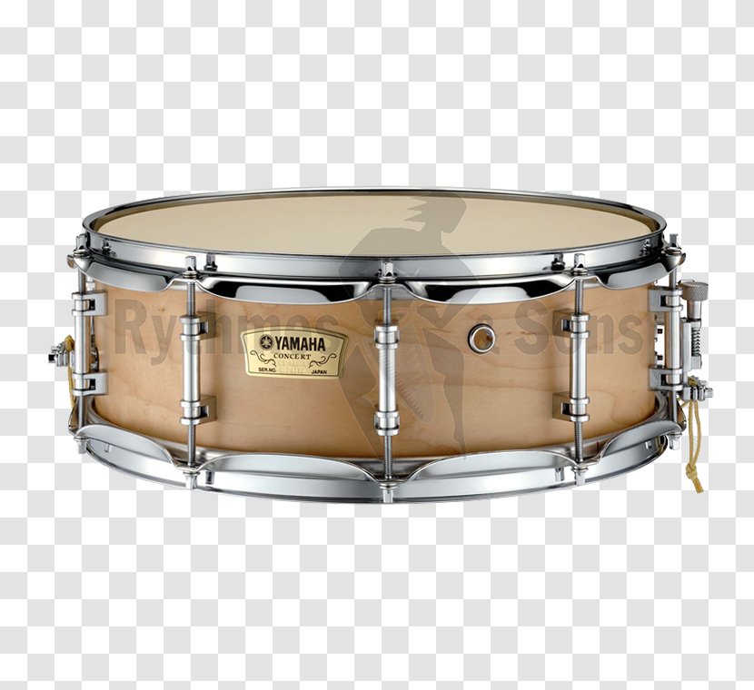 Snare Drums Concert Percussion Yamaha Corporation - Marching - Drum Transparent PNG