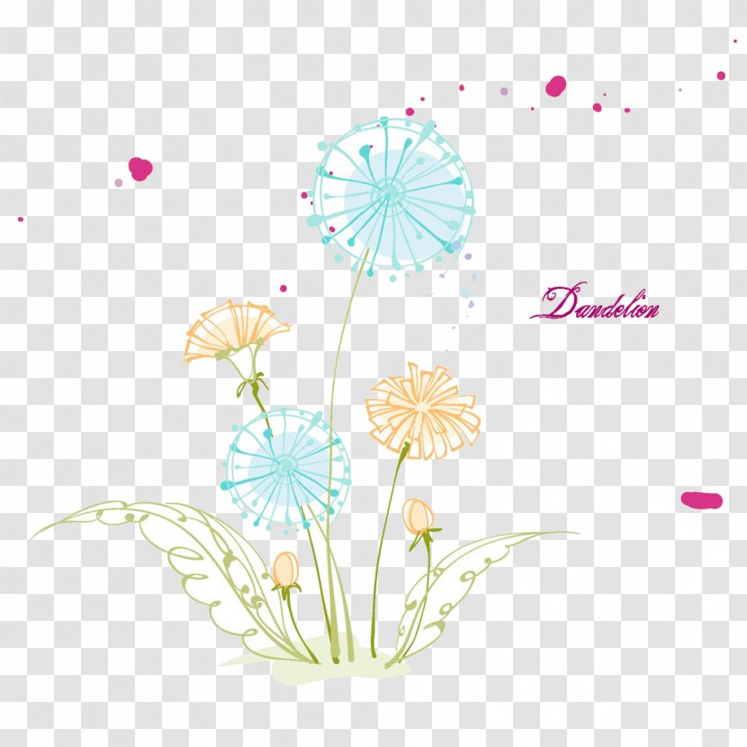 Euclidean Vector Line - Floristry - Dandelion Transparent PNG