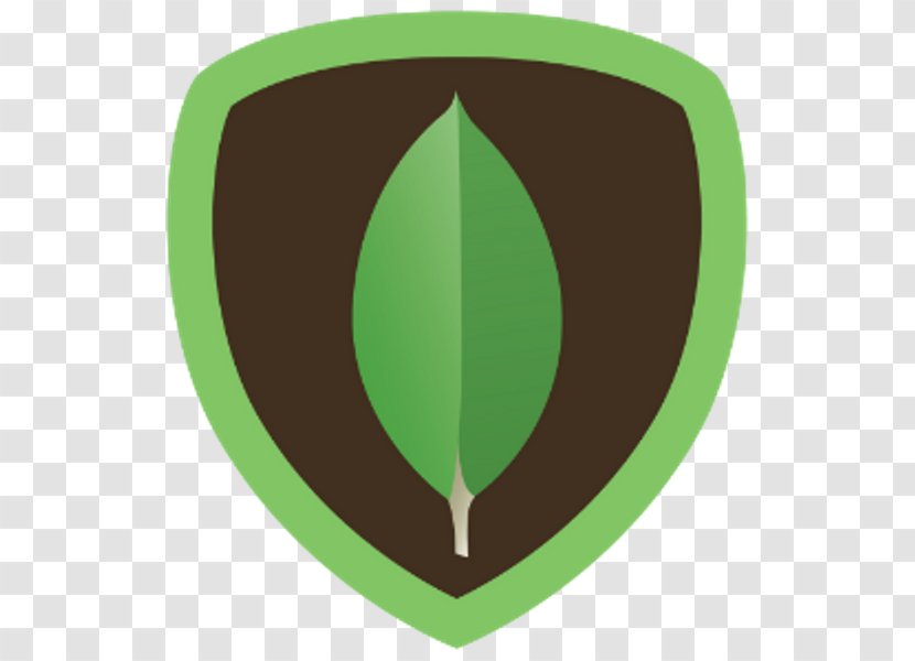 MongoDB NoSQL Document-oriented Database - Object - Nosql Icon Transparent PNG