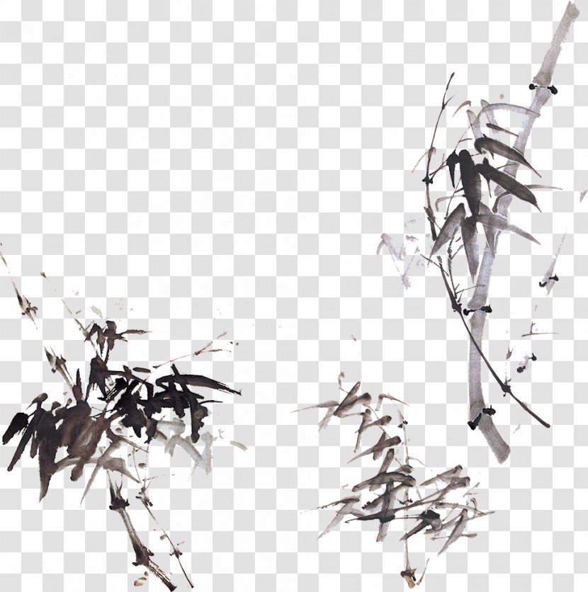 Bamboo Chinoiserie Paper - Monochrome Photography - Ink Transparent PNG