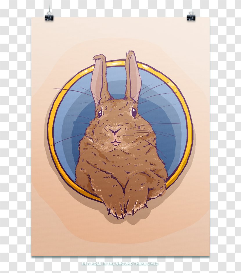 Hare Cartoon - Organism - Design Transparent PNG