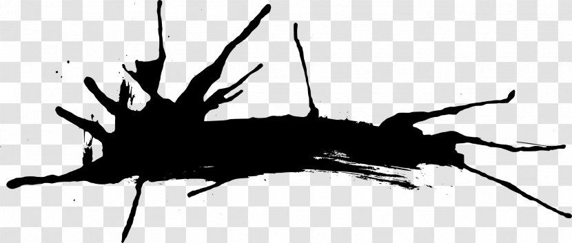 Insect Black And White - Pest - Splatter Transparent PNG
