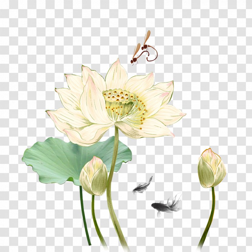 Image Sacred Lotus Design Heals Acupuncture Vector Graphics - Flowering Plant - Flowers Transparent PNG