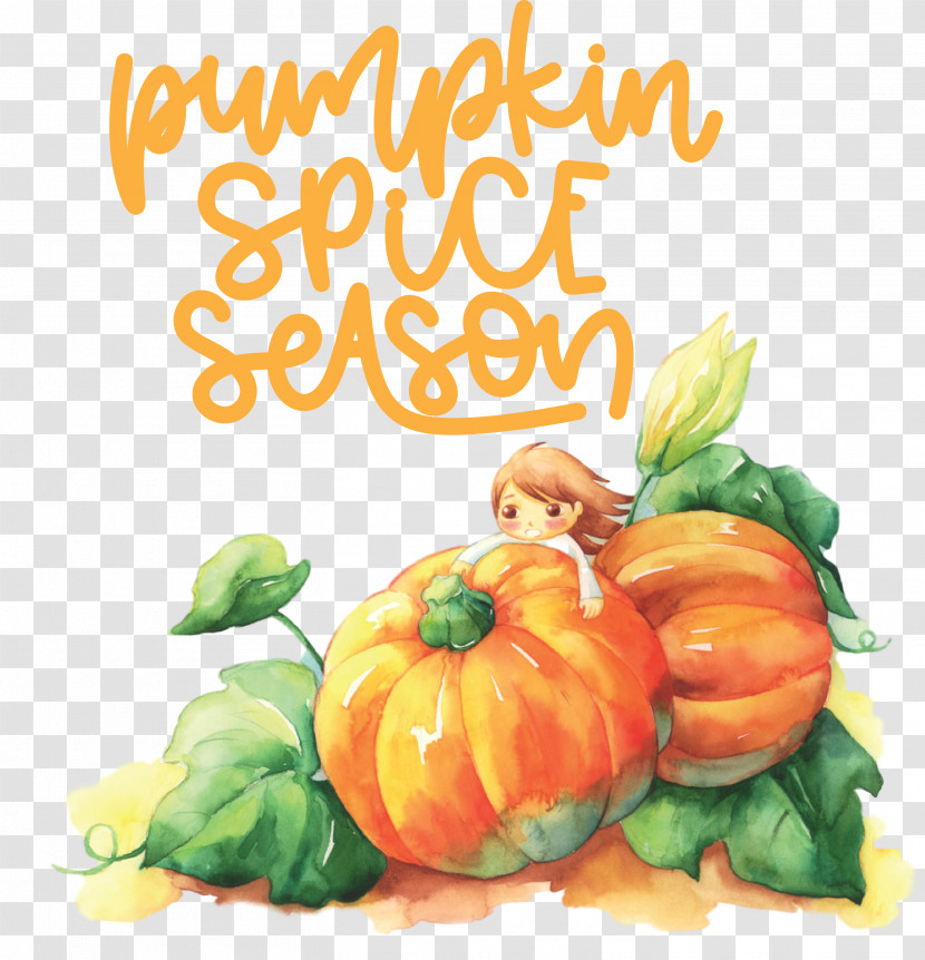 Autumn Pumpkin Spice Season Pumpkin Transparent PNG