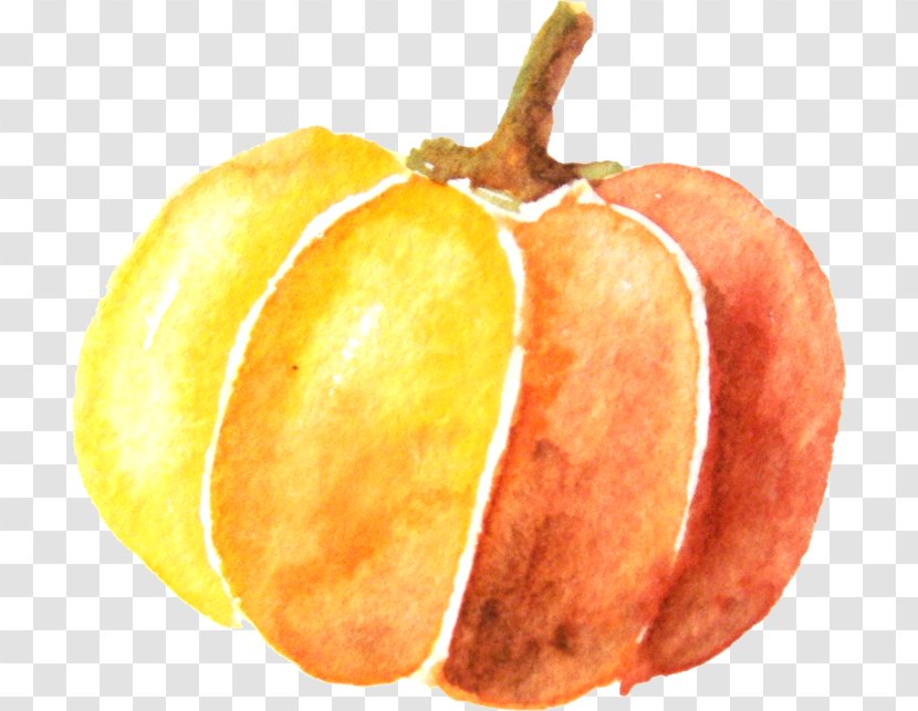 Pumpkin Watercolor Painting - Food Transparent PNG