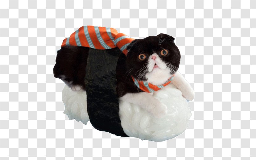 Sushi Cat Japanese Cuisine California Roll Kitten - Small To Medium Sized Cats Transparent PNG