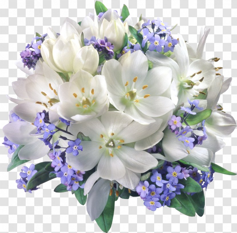 Flower Bouquet Jasmine Clip Art - Flowering Plant - Wedding Transparent PNG