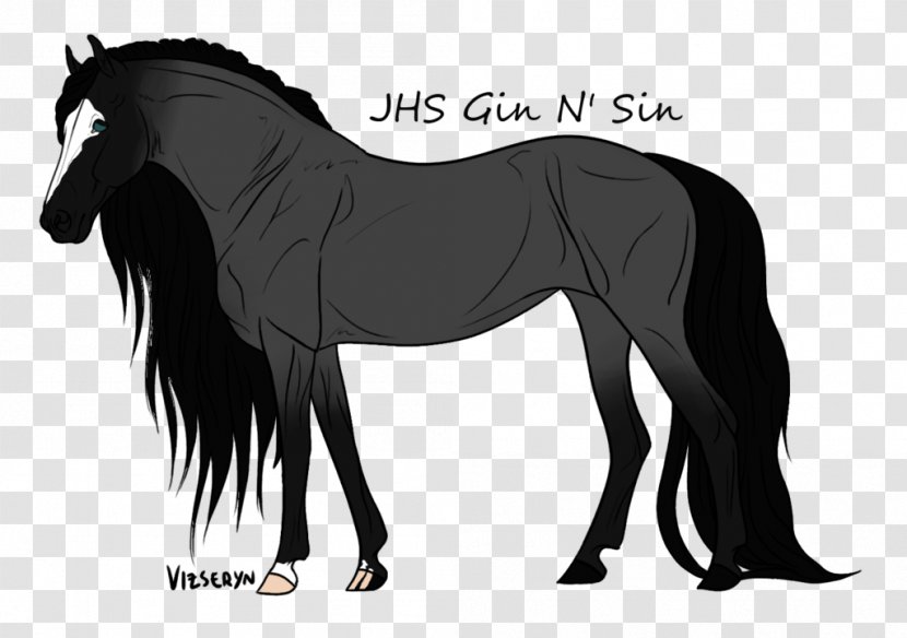 Foal Stallion Mare Mustang Halter - Horse Tack Transparent PNG