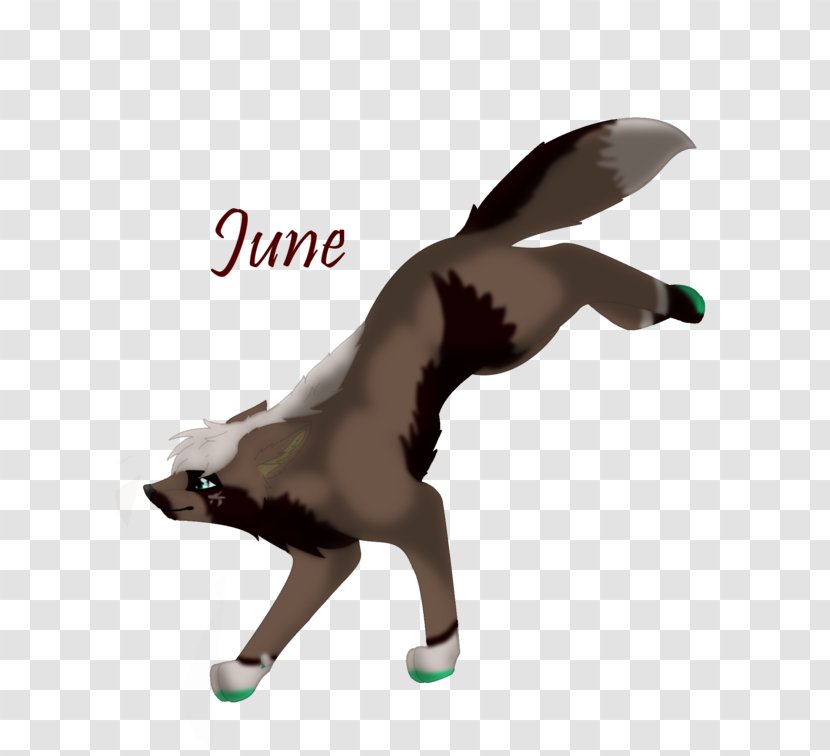 Cat Dog Canidae Tail Mammal - Like Transparent PNG