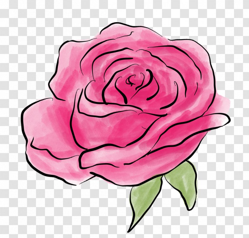 Garden Roses Clip Art Cabbage Rose Illustration Drawing - Silhouette - Flower Transparent PNG