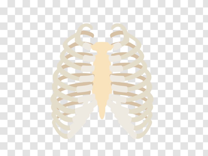 Seitai 接骨院 Vertebral Column Pain Nuchal Rigidity - Heart - Rib Cage Transparent PNG