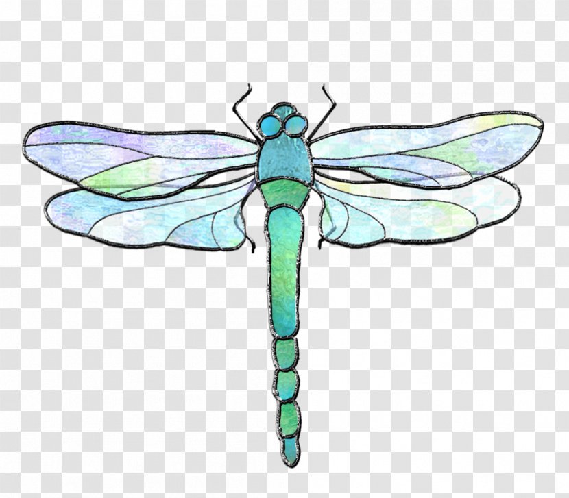 Insect Dragonfly Invertebrate Pollinator - Organism Transparent PNG
