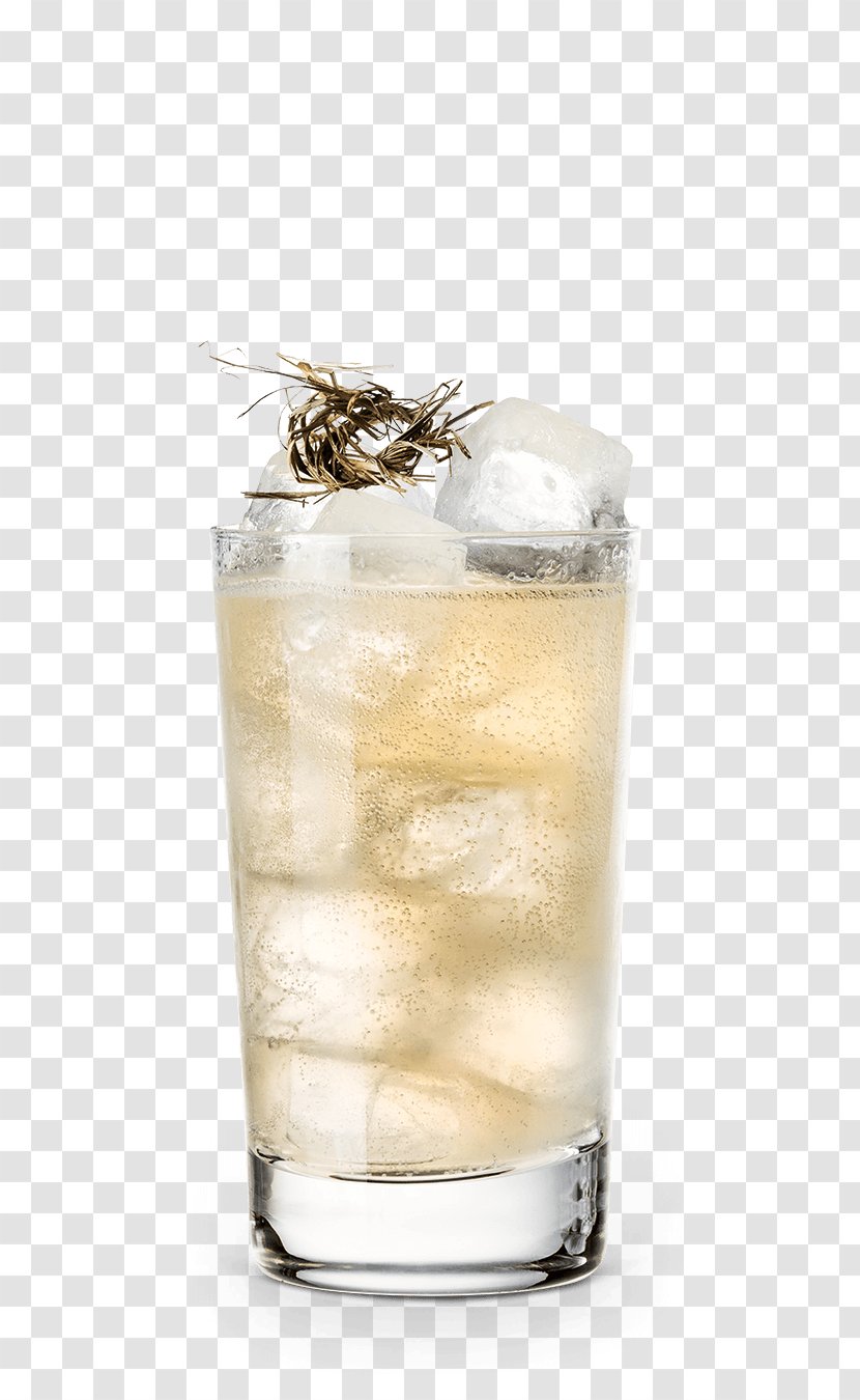 Gin And Tonic Highball Black Russian Sea Breeze Cocktail Garnish - Sour Transparent PNG