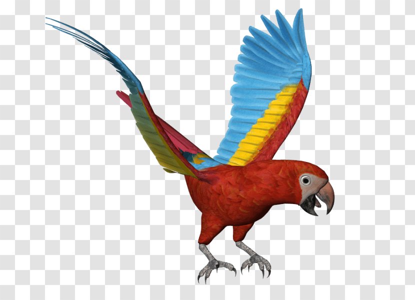 Budgerigar Macaw Clip Art Image - Попугай Transparent PNG