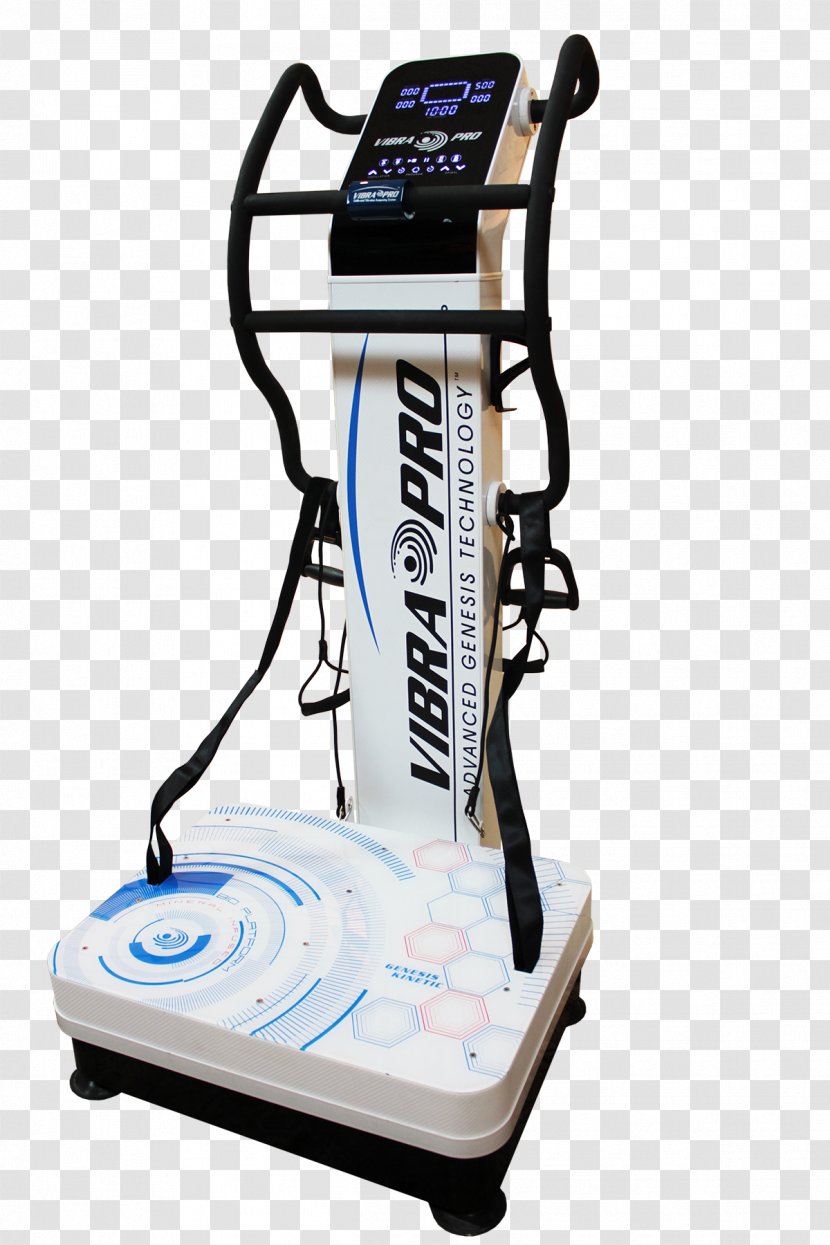 Exercise Machine Whole Body Vibration Human - Watercolor - Tree Transparent PNG