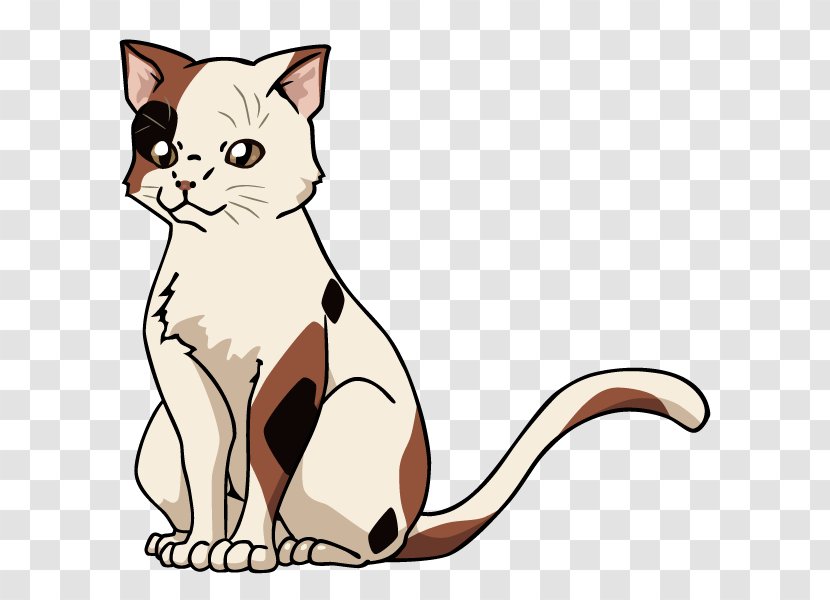 Whiskers Haruhi Suzumiya Cat Kitten Kyon - Tabby Transparent PNG