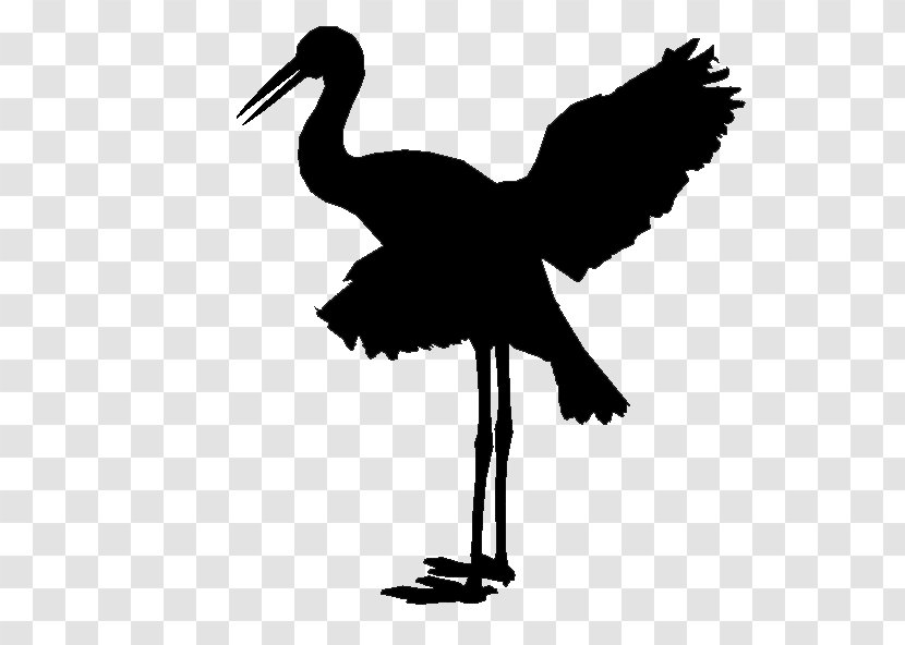 Cygnini Stork Goose Bird Duck - Wing - Water Transparent PNG