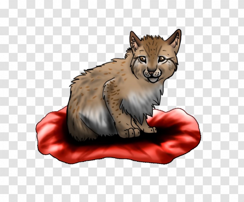 Whiskers Red Fox Cat Fur Snout - Puma Transparent PNG