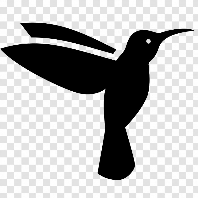 Hummingbird Symbol Goose - Flying Birds Transparent PNG