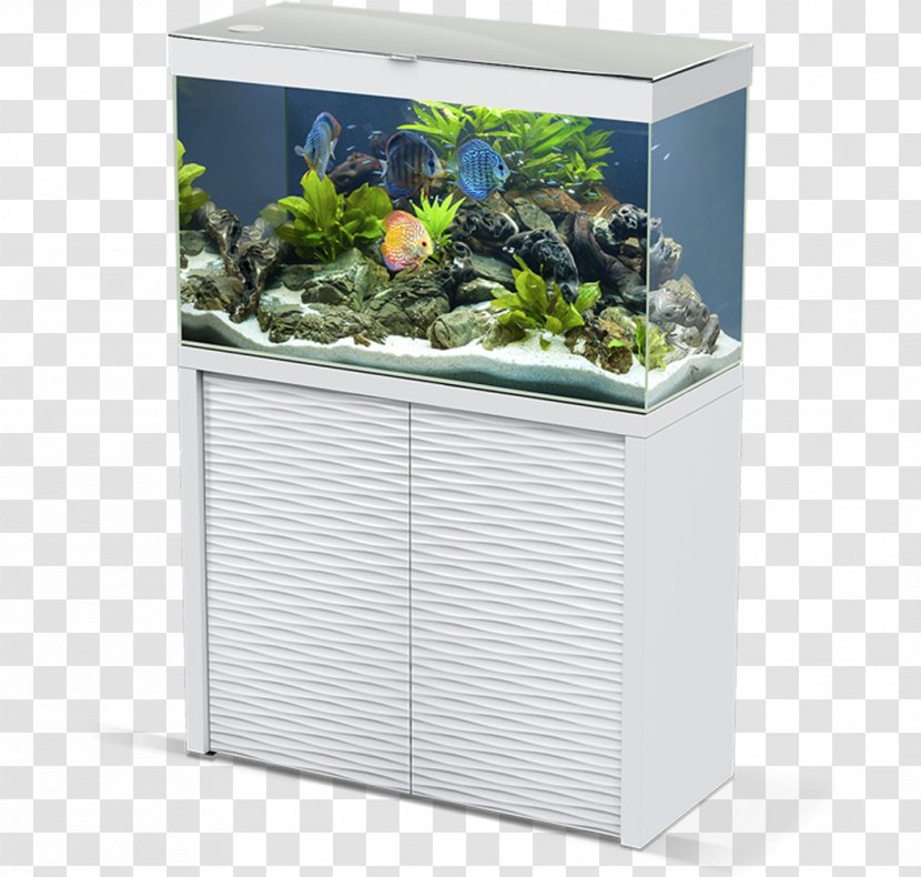 Aquariums White Filtration Cyan - Aquarium Transparent PNG