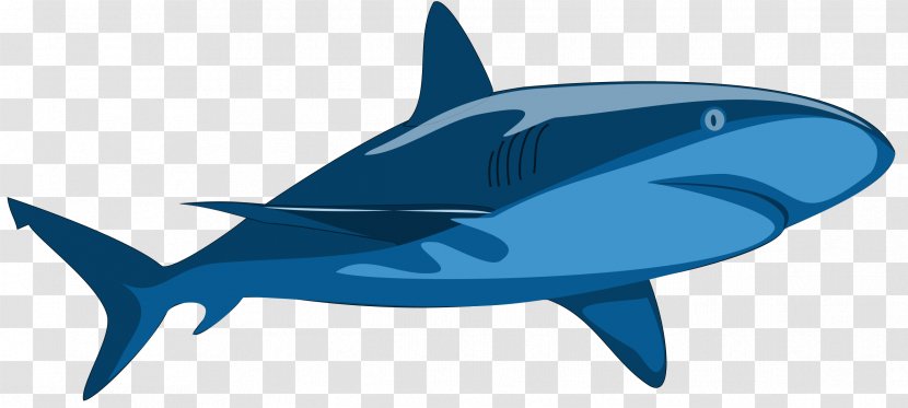 Shark Jaws Whale Clip Art - Isurus Oxyrinchus - Sharks Transparent PNG