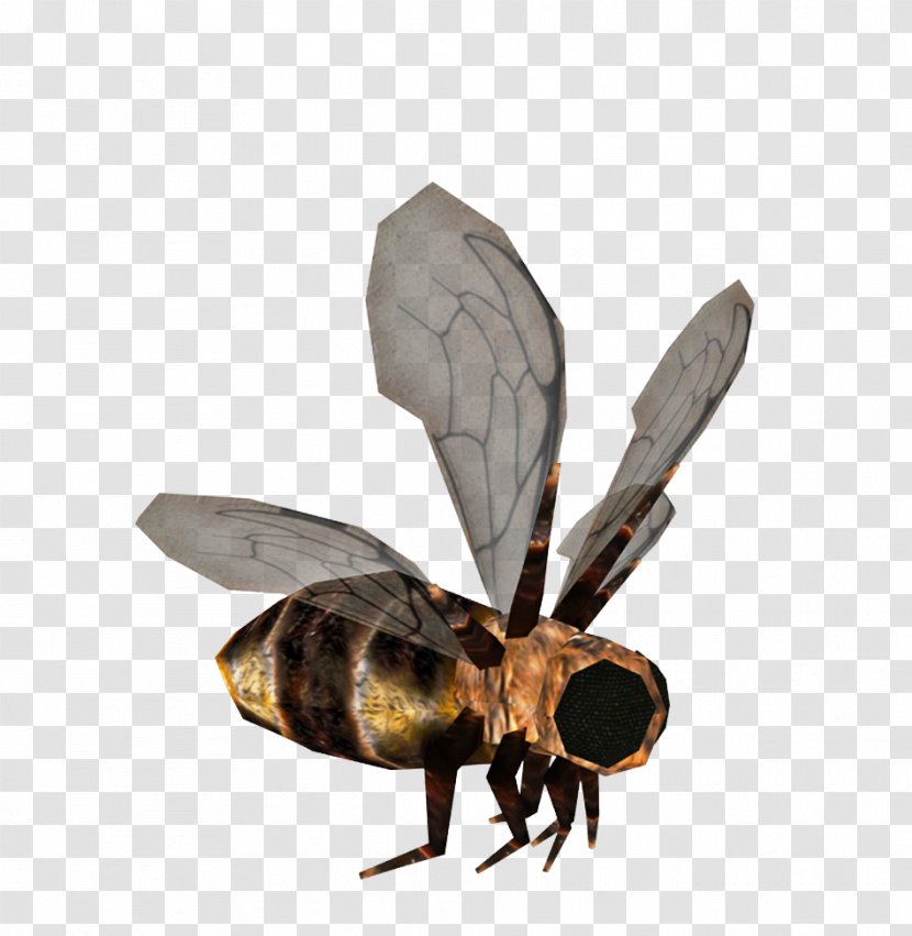 Bee Hornet Apis Florea Insect - Membrane Winged - Wings Transparent PNG