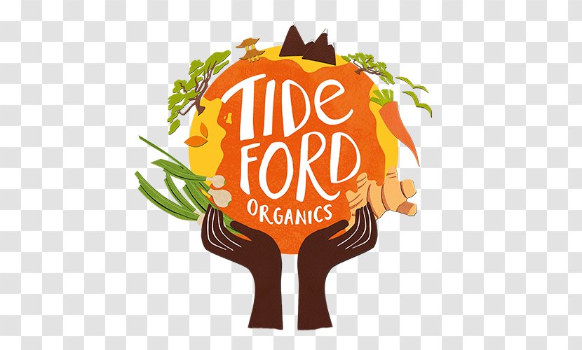 Tideford Organic Foods Miso Vegetarian Cuisine - Eating - Spring Onion Transparent PNG