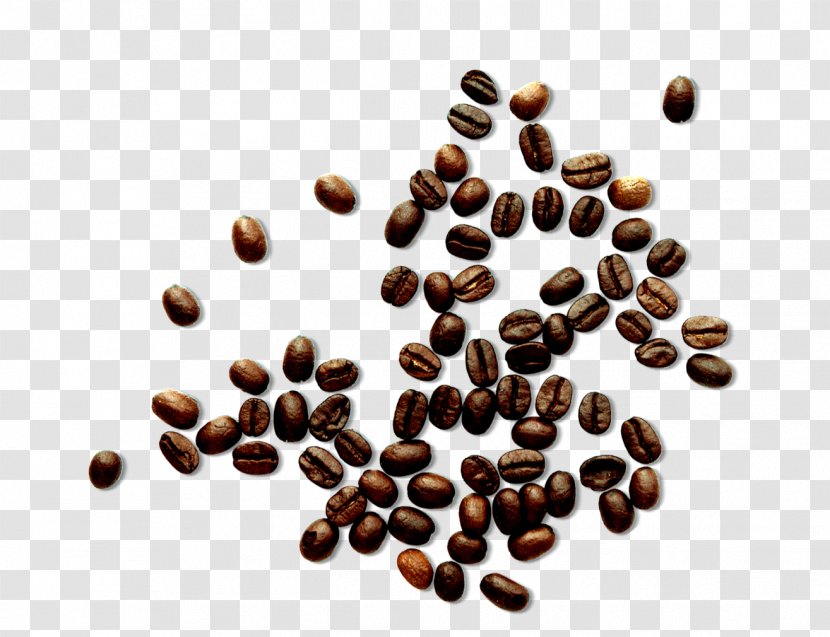 Coffee Bean - Cup - Brown Beans Transparent PNG