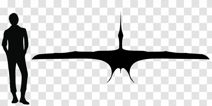 Nyctosaurus Late Cretaceous Thalassodromeus Bakonydraco Pterosaurs - Symbol - Monochrome Photography Transparent PNG