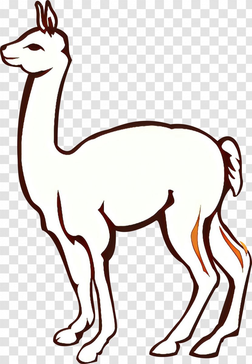 Llama - Tail - Camelid Transparent PNG