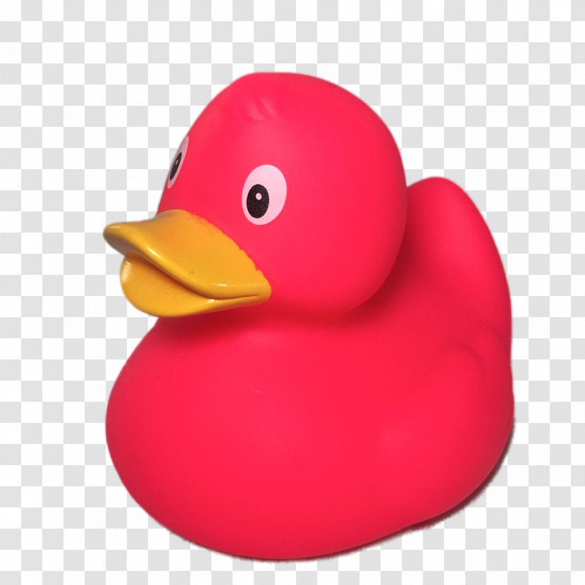 Rubber Duck Toy Bathtub Natural - Jemima Puddle Transparent PNG