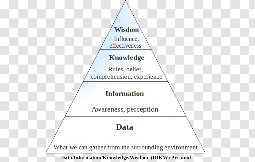 DIKW Pyramid Information System Management Organization - Business Analytics - Uncle Fester Transparent PNG