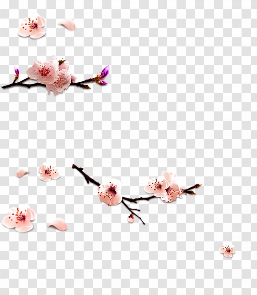 Petal Pink Cherry Blossom Pattern - Flower Transparent PNG