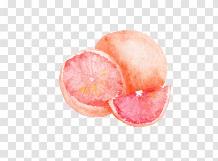 Still Life With Oranges Strawberry Grapefruit Greipfrutas - Peach Transparent PNG