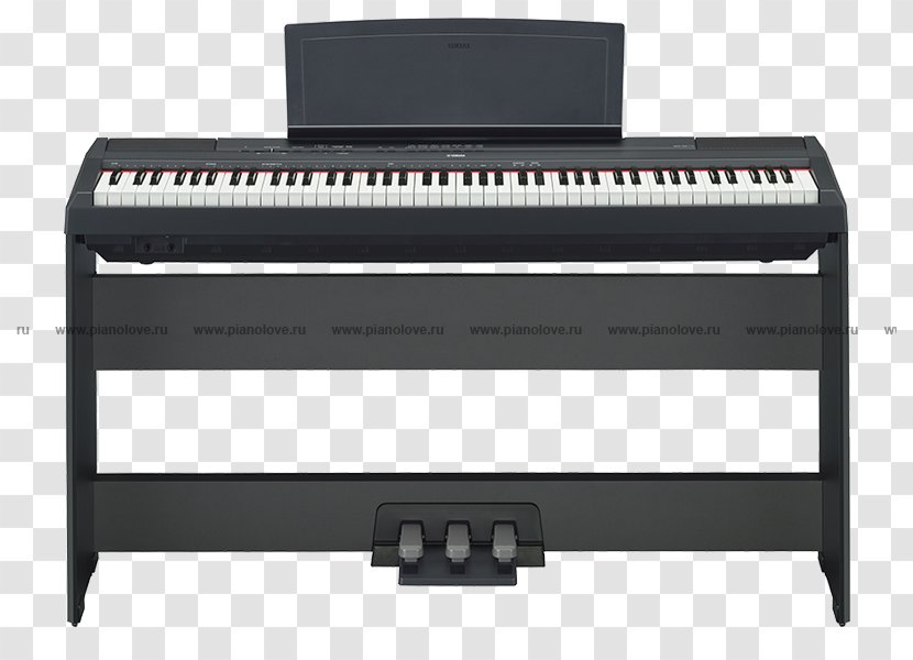 Yamaha P-115 Digital Piano Corporation Keyboard - Silhouette Transparent PNG