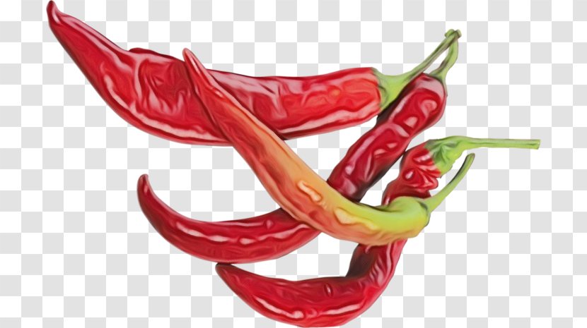 Eye Cartoon - Chili Pepper - Solanales Capsicum Transparent PNG