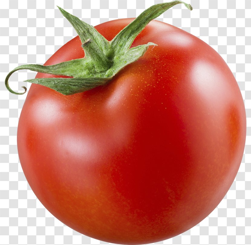 Plum Tomato Bush Organic Food - Lycopersicon Transparent PNG