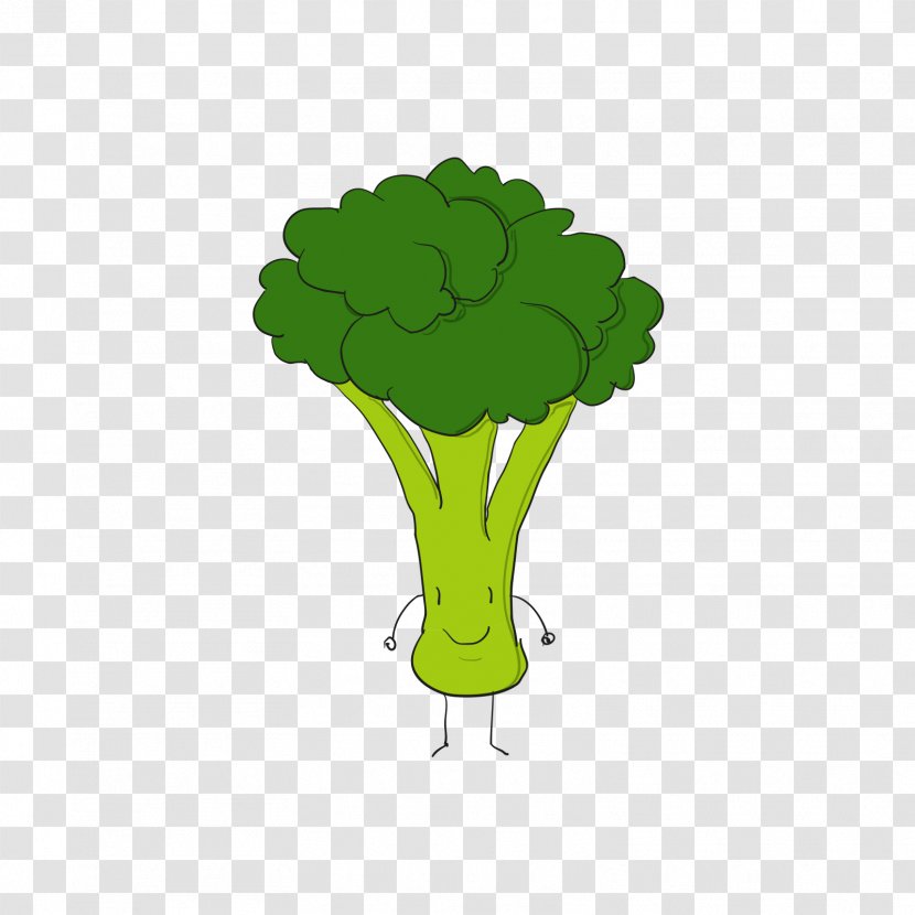Broccoli Euclidean Vector - Plant - Green Cauliflower Cartoon Transparent  PNG