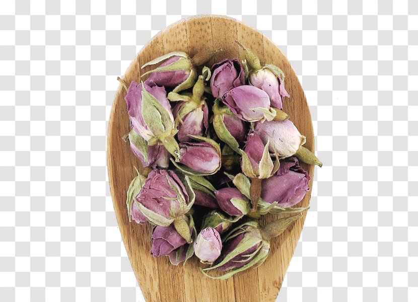 Dianhong Tea Cut Flowers Bud - Jasmine Transparent PNG