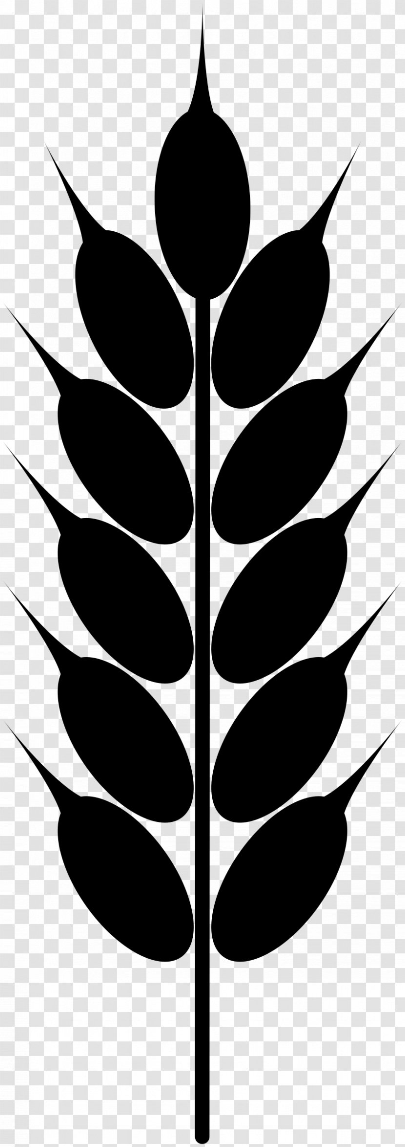 Wheat Grain Clip Art - Flower - Pattern Transparent PNG