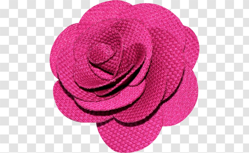 Garden Roses Cut Flowers Pink M Petal - Rose Transparent PNG