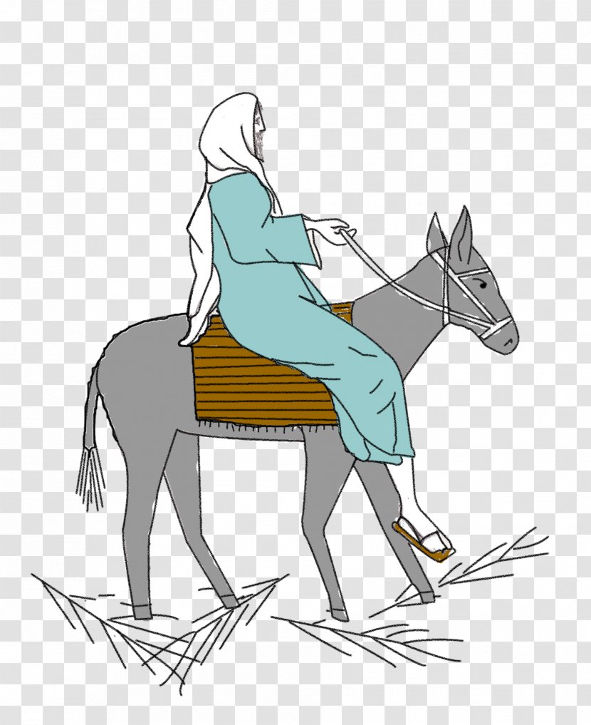 Mule Pony Mustang Pack Animal Bridle - Horse Tack - Donkey Transparent PNG