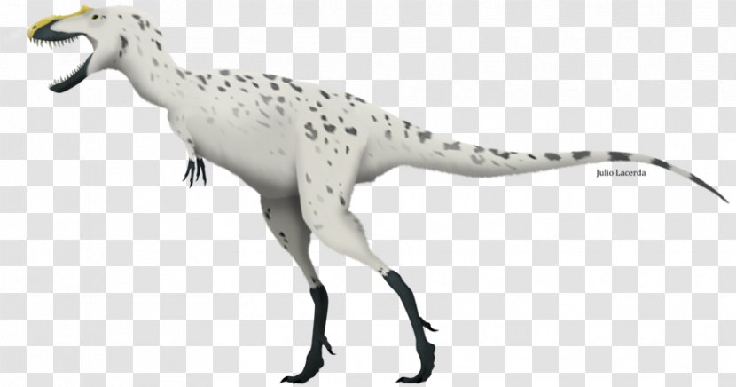 Tyrannosaurus Sinotyrannus Gorgosaurus Aviatyrannis Dryptosaurus - Fauna - Dinosaur Transparent PNG