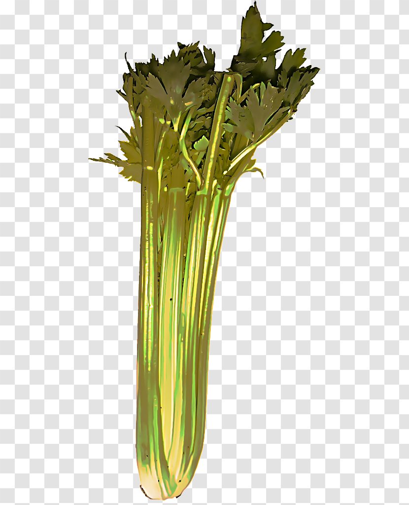 Spring Background - Italica Group - Vascular Plant Vase Transparent PNG