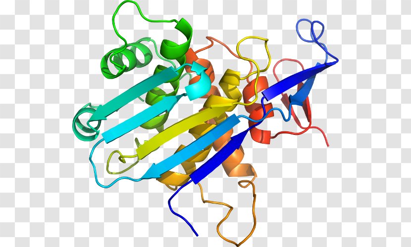 Unfolded Protein Response Biology Organism Clip Art - Mevalonate Kinase Deficiency Transparent PNG