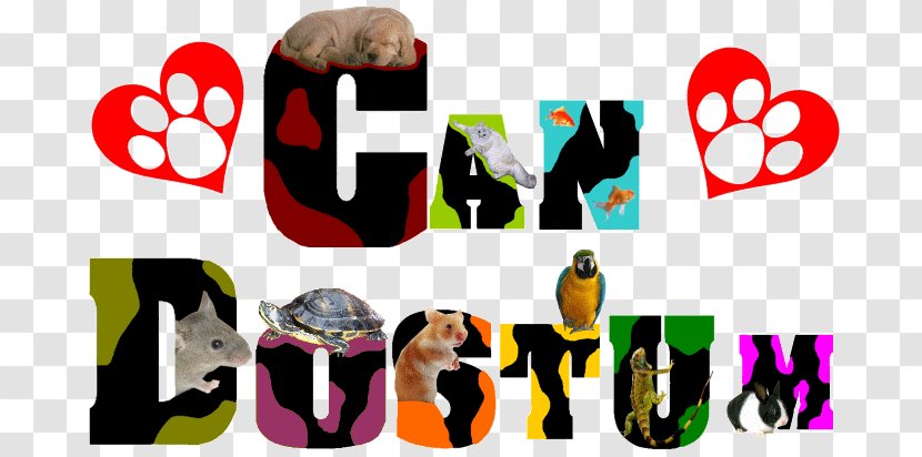 Animal Painting Logo Yorkshire Terrier Cat - Dog - Turtle Transparent PNG