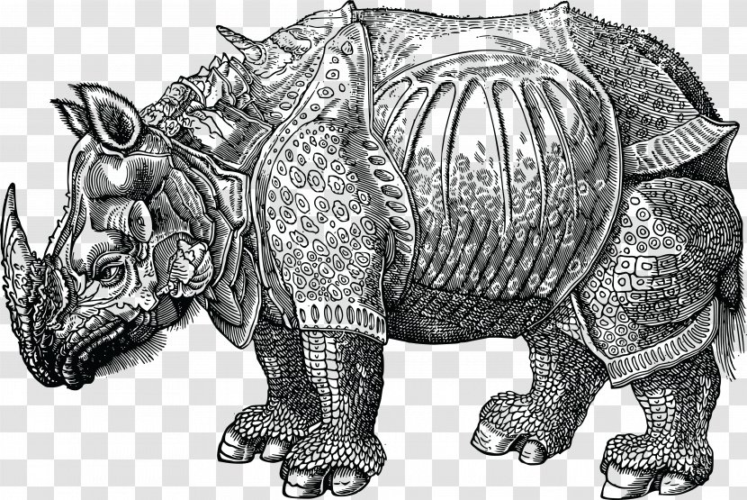Historia Animalium Dürer's Rhinoceros Zoology Francis Trigge Chained Library - African Elephant - Epsdoublet Transparent PNG